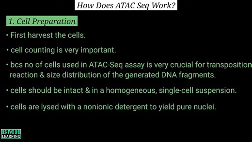 ATAC测序——ATAC-Seq的工作原理——转座酶可及性染色质检测技术