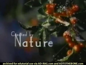 Glade - 3 in 1 Holiday commercial ( 2000)