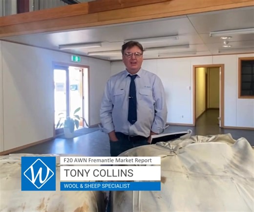 F20 AWN Fremantle Market Report with Tony Collins – Wool & Sheep Specialist 📲 For more information, contact your local AWN Wool Specialist ➡️ awn.net/contact | AWN WA