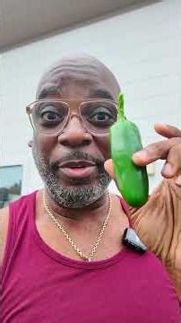 Ever heard of this pepper? Would you try it?!