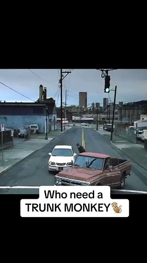 Hahahaha we all can a trunk monkey 😂😂 #monkey #trunkmonkey #funnytiktokvideos #viralvideo