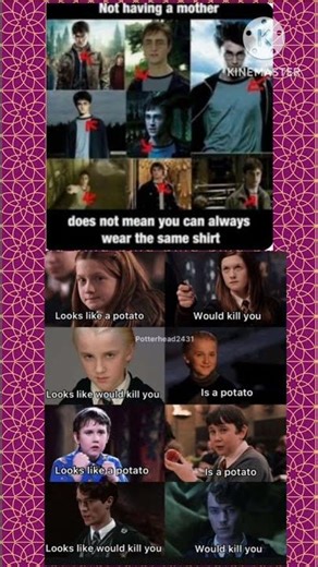 “Harry Potter Meme Combo – Same Shirt & Potato Logic Edition”