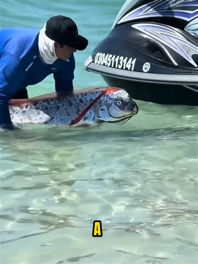 Oarfish Phenomenon: Earthquake Warning from the Deep Sea