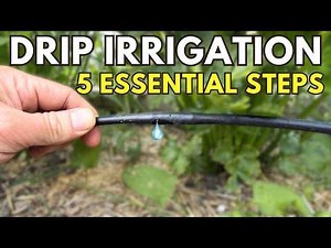 The 5 Step Formula for the Perfect Garden Drip Irrigation System