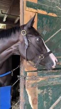 Horse trainer Kinnon LaRose is 1 day away from the biggest race of his career that began 7 yrs ago.