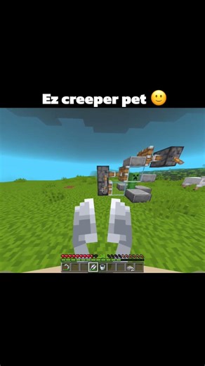 Easy creeper pet 😳 #shorts