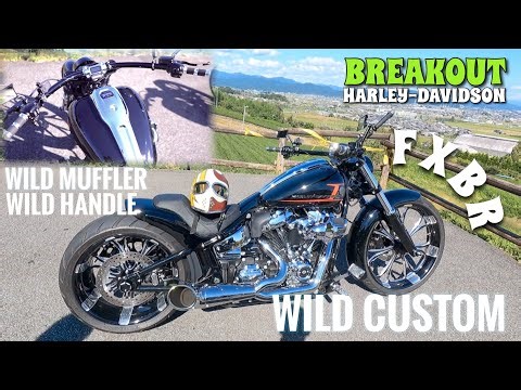 【車両紹介】ワイルドカスタム！FXBRブレイクアウト！