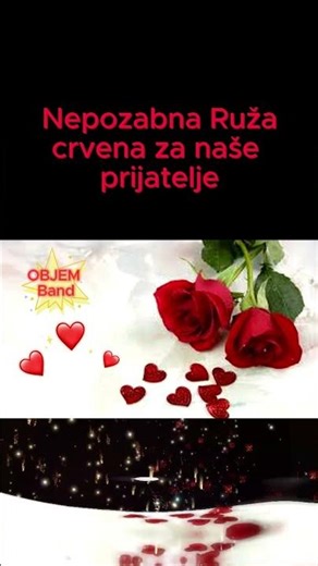RUŽA CRVENA - Recite joj da bez nje nestale su sve..