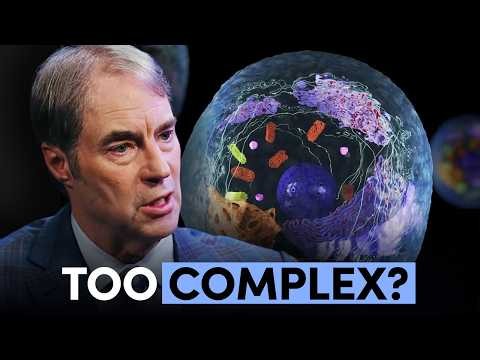 Why DNA Proves Evolution Has an Information Problem