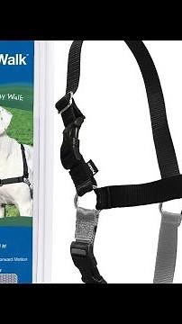 HOW TO FIT THE EASY WALK HARNESS! #easywalkharness #dogharness #dog #dogtrainingtips