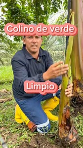 454K views · 5.7K reactions | Colino de verde limpio 蝹 | Aventuras de Leo | Facebook