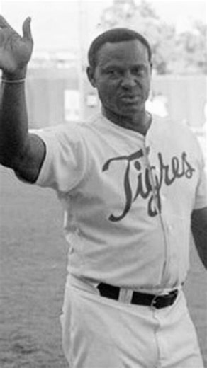 Manny Mota on Instagram: "Bilingual caption ⬇️ Nunca imaginé ver mi nombre en un premio. Me emociona profundamente saber que el Premio “Manuel Mota” 🏆 ha sido creado para reconocer a quienes se distinguen por su entrega y pasión por el béisbol. Este tributo representa una vida dedicada al deporte, a la disciplina y al amor por un juego que nos une dentro y fuera del terreno. Un millón de gracias al equipo de los Tigres Licey por mantener vivo este legado que tanto significa para mí. 💙 @tigresd