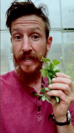 🌱 Gardening Hack: How to Save Your Plants Through Winter! ❄️