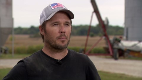 Red Crown Rot threatens soybean fields