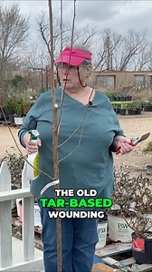 Discover the secret to promoting healthy tree growth and preventing insect and disease issues with IV Organics, an organic and breathable alternative to tar-based wound paints. Learn how to effectively apply it to tree cuts and why it's essential for the tree's natural wound response. Get ready for vibrant and thriving trees this spring! #OrganicTreeCare #TreeWoundHealing #IVOrganicsReview #HealthyTreeGrowth #PreventingInsectIssues #NaturalWoundResponse #TreeCareTips #GardeningHacks #SpringGarde