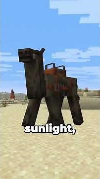 BRAND NEW MUMMY SKELETON & HUGE CHANGES MINECRAFT UPDATE!