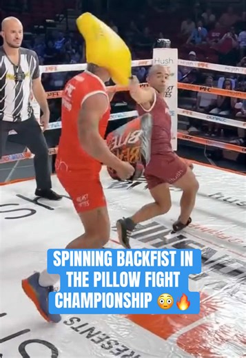 Incredible Move by Leo Capoeira in Pillow Fight Championship