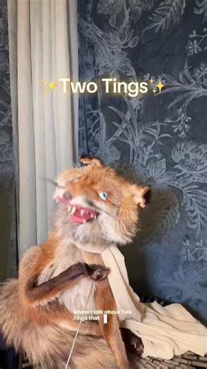 Two Tings to Remember: Dolphin and Cake