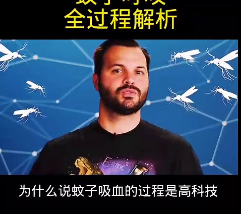 蚊子叮咬全过程解析