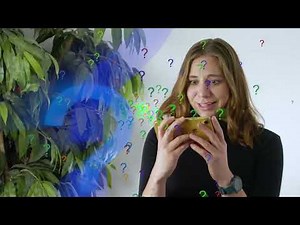 The Best AAC App for Kids