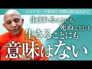 There is no meaning in being born, dying, or living | Early Buddhism Q&A by Elder Sumedha #jtba #...