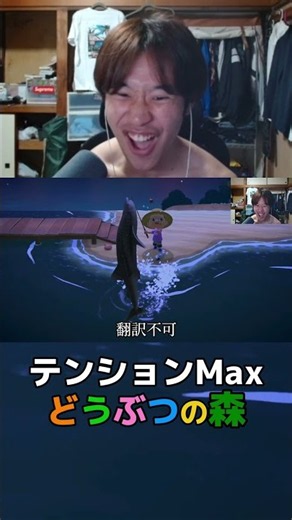 とうとう伝説の魚を釣ってしまいハイになる22歳児 #配信 #ゲーム実況 #どうぶつの森