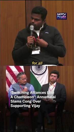 'Switching Alliances Like A Chameleon': Annamalai Slams Cong Over Supporting Vijay