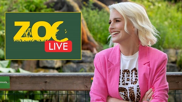 Zoo Live S01E01