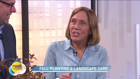Tips for fall planting & landscape care