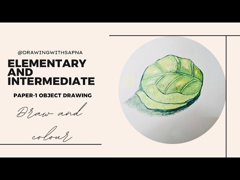 ELEMENTARY AND INTERMEDIATE EXAM | PAPER-1 OBJECT DRAWING | STEP BY STEP | COMPLETE EXAM GUIDE.