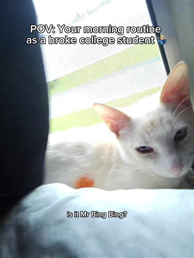 tend bio (@tend.bio)’s videos with original sound - tend bio