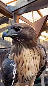 Zombie Tattoo Studio on Reels