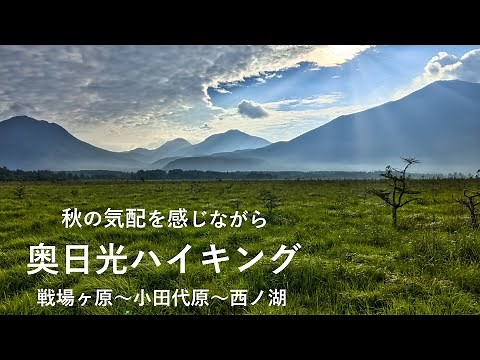 【奥日光】4K 低公害バス利用で戦場ヶ原〜小田代原〜西ノ湖ハイキング！