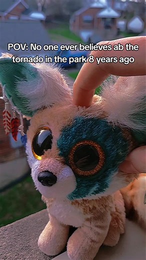 Yes we HAVE and this photo was taken outside my old job! 😭💔 #beanieboo #beanieboos #animal #animals