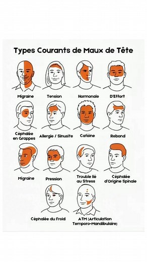 🌿 Les Types de Maux de Tête les Plus Courants 🌿 Apprends à les reconnaître pour mieux les soulager naturellement. 🔹 Migraine – Douleur pulsante d’un seul côté, souvent avec nausées et sensibilité à la lumière. 🔹 Céphalée de Tension – Pression constante sur le front ou la nuque, causée par le stress ou une mauvaise posture. 🔹 Céphalée Hormonale – Survient pendant le cycle menstruel, douleur récurrente d’un côté. 🔹 Céphalée d’Effort – Après un effort physique intense, touche toute la tête. �
