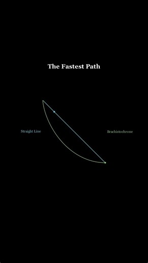 Gravity's Favorite Curve: The Brachistochrone