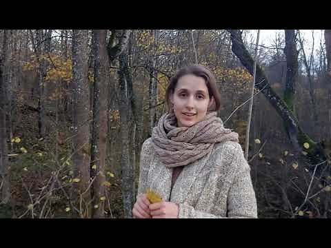 Alexander Pushkin “Autumn (a fragment)”