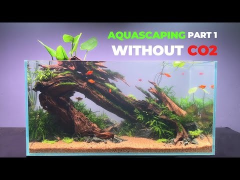 Making Aquascaping Without No Co2 For Beginner (Aquascaping Tutorial) Part 1