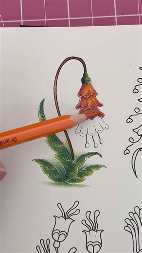 Colorido simples usando Polycolor . 📕#Johanna Basford #magicalworlds #coloredpencils