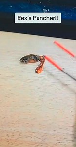 - It can create its own light 🤯 | Mantis Shrimp