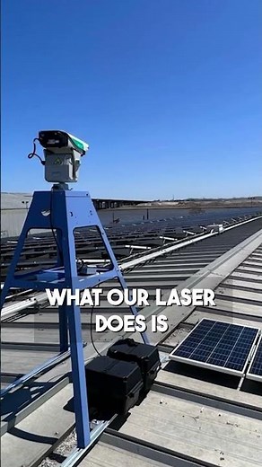 How to Scare Away Birds the Right Way! #shorts