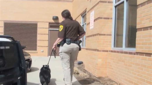 Crisis K-9 Jax deployed to support Nebraska firefighters battling wildfires