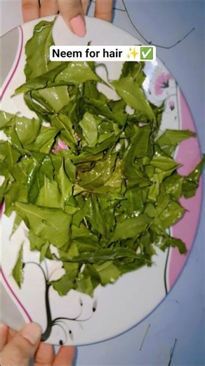 Dandruff control at home | Neem & clove water to treat dandruff & hairfall #stophairfall #haircare