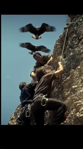 THE CLIMBERS #mountains #mountainclimbing #climber #hiking #wildwest #hikingadventures