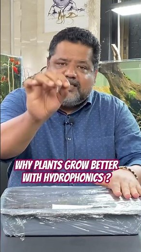 5 Simple Secrets to Building a Successful DIY Hydrophonics Green House