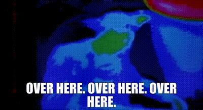 Over here. Over here. Over here.