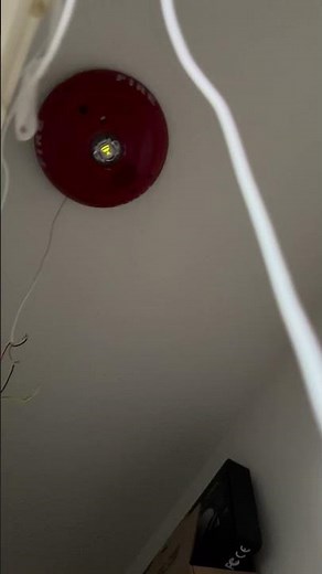 System Sensor L series LED Celing Horn strobe + Wheelock ZNS