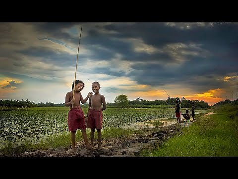 SCHOOL CHALE HUM | DOORDARSHAN SONG VIDEO | KALITALA PRIMARY SCHOOL | SARVA SIKSHA AVIYAN| Musimood