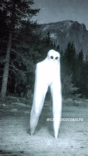 THE VIDEO THAT PROVES THEY'RE HERE ⚠️ ☠️ #nightcrawlers #mysteries #creepypasta