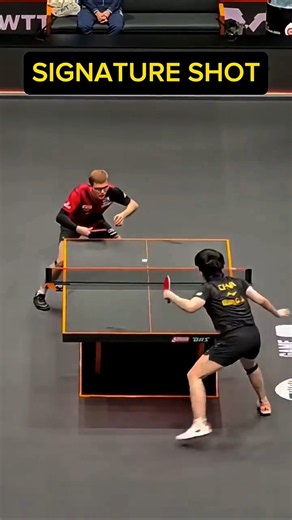 Wang Chuqin Special Table Tennis Shot
